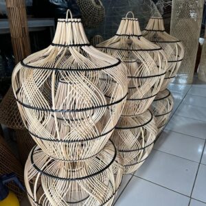 aralia ming